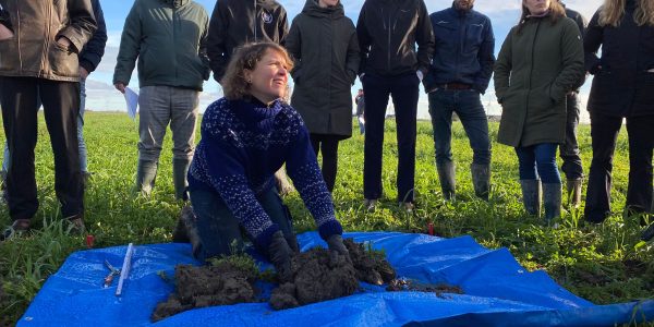 Afbeelding van WhatsApp op 2025-11-20 om 11.58.25_0d5f250c