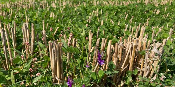 WhatsApp Image 2024-08-30 at 15.47.33